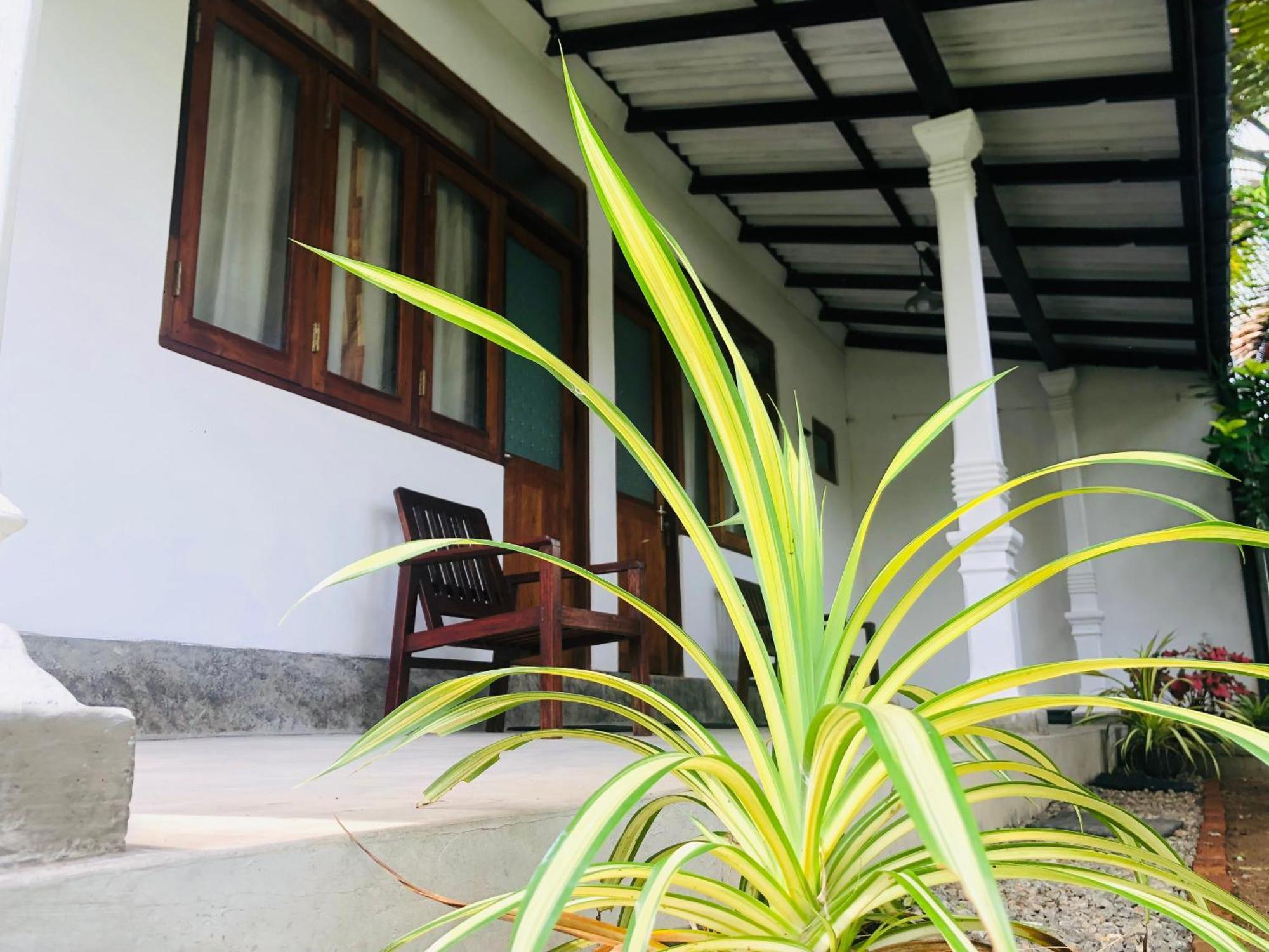 Hotel Waves à Hikkaduwa Extérieur photo